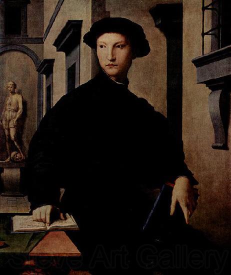 Angelo Bronzino Portrat des Ugolino Martelli. Germany oil painting art